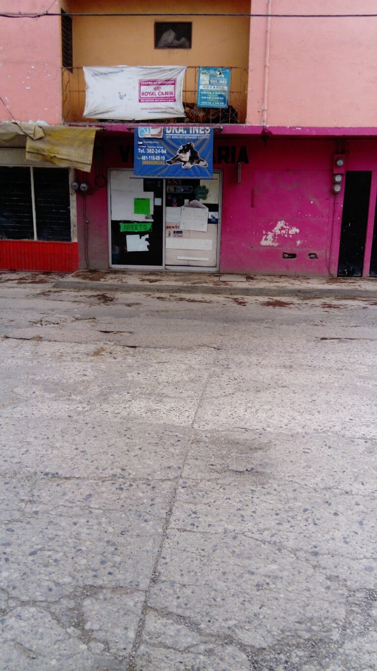 51734 veterinaria dra ines 768x1365