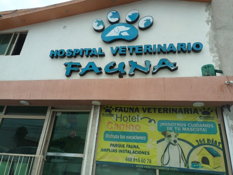 51736 hospital veterinario fauna 768x576