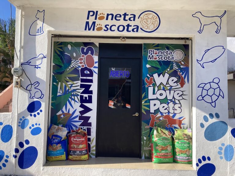 51740 planeta mascota 768x576