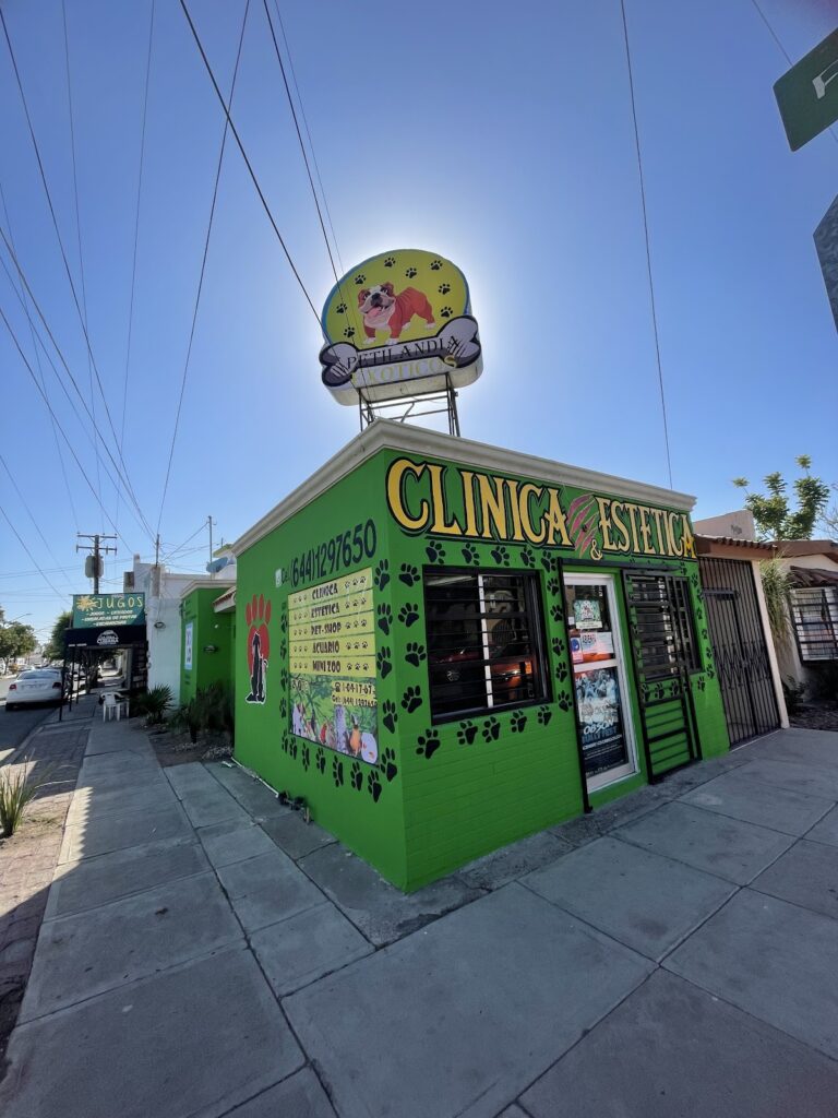 51748 petilandia exoticos 768x1024