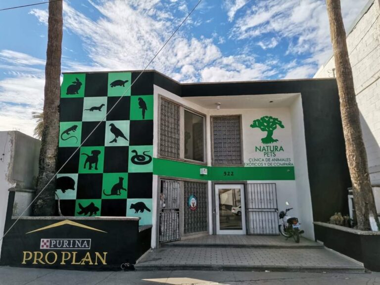 51756 natura pets 768x576