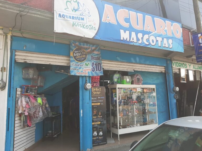 51764 aquarium and maskotas tlaxcala 768x576
