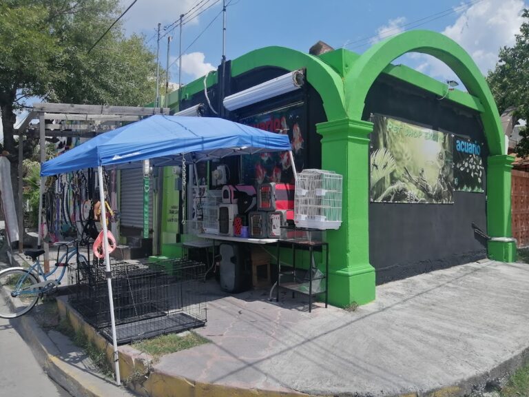 51784 pet shop exotic matamoros acuario y tienda de mascotas 768x576