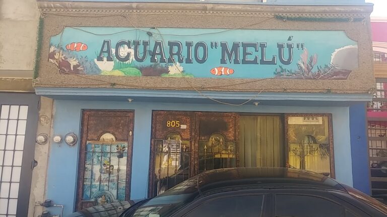 51816 acuario 8220melu8221 768x432