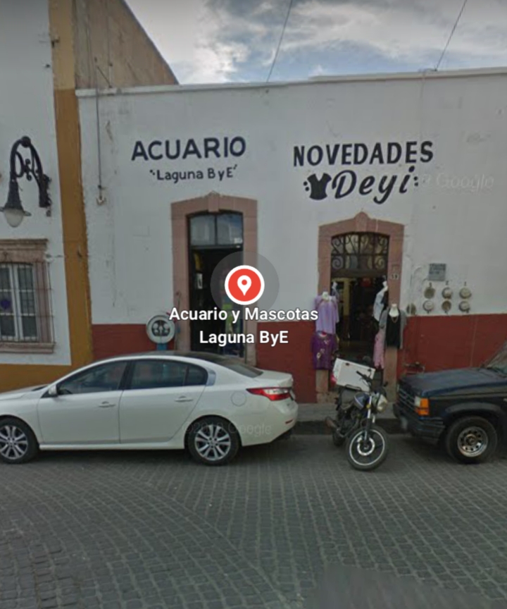 51826 acuario y mascotas laguna bye