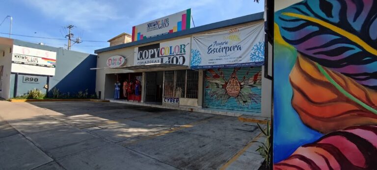 51916 centro de copiado copycolor v.carranza 768x346