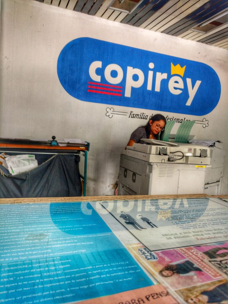 51988 copirey 768x1024