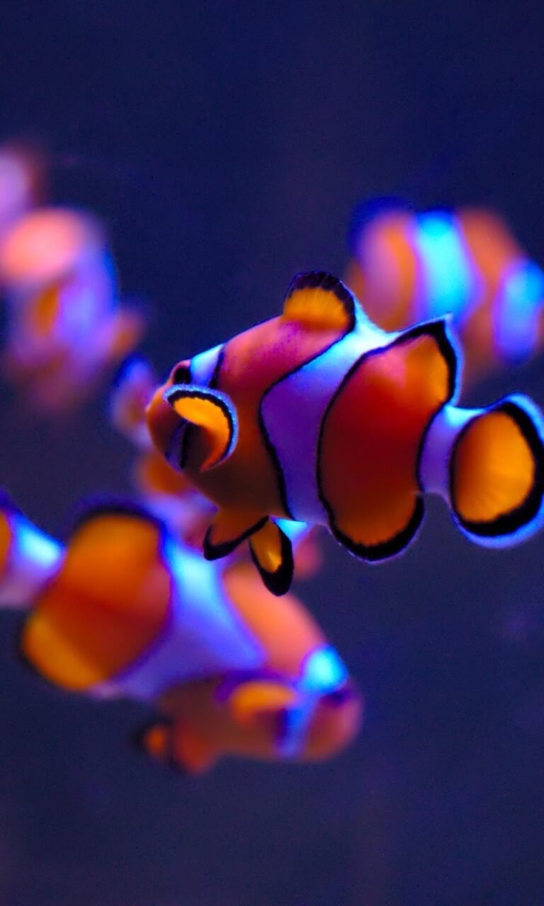 52098 centro de fotocopiado las beres 768x1280