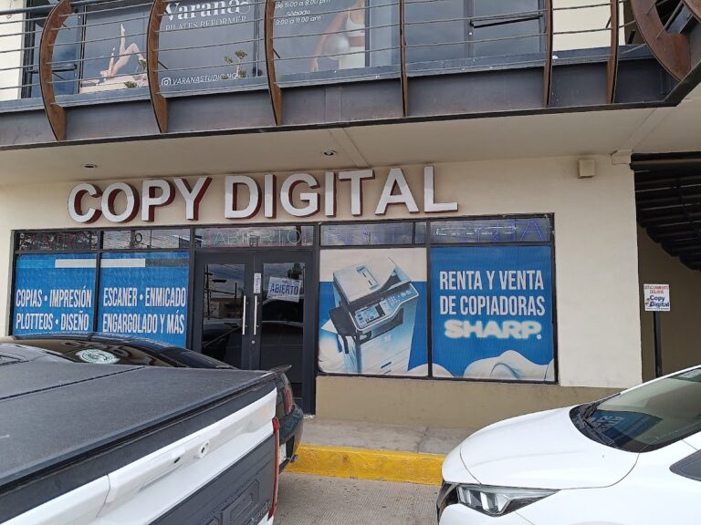 52230 copy digital 768x576