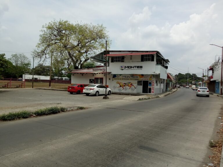 52350 centro de impresiones 8220montes8221 768x576