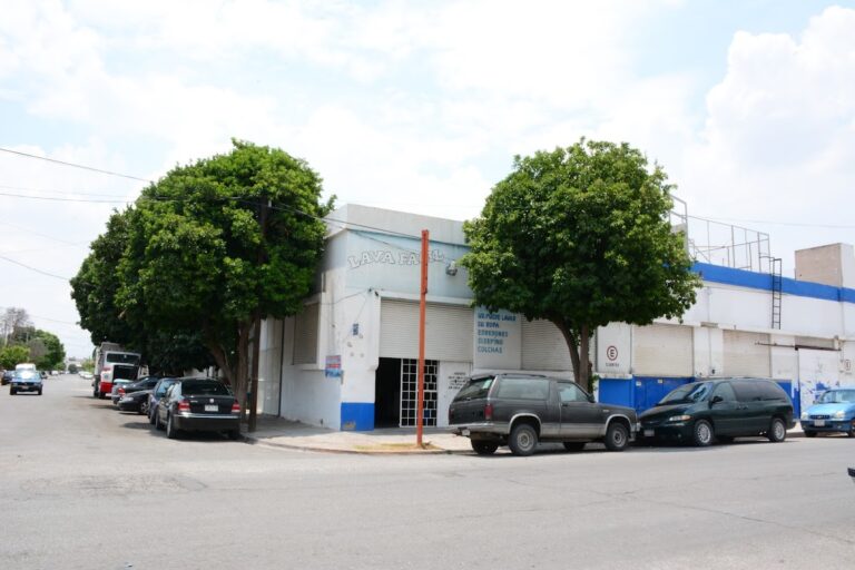 52827 lava facil 768x512