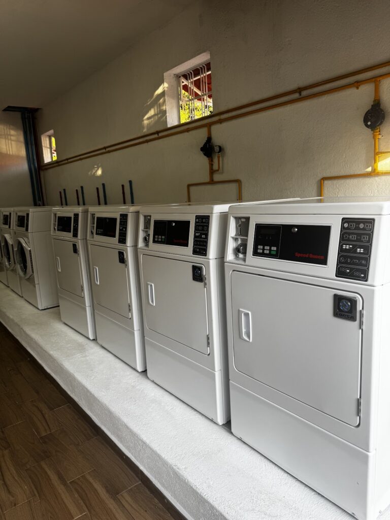 52894 lavanderia anturios 768x1024