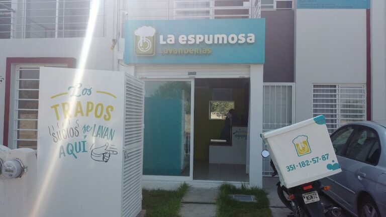 52958 lavanderia en zamora la espumosa 768x432