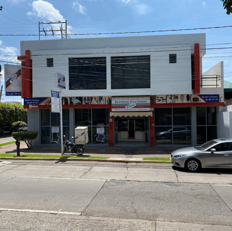 52972 tintoreria electronica plus 768x767