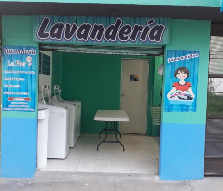 53144 lavanderia la flor 768x657