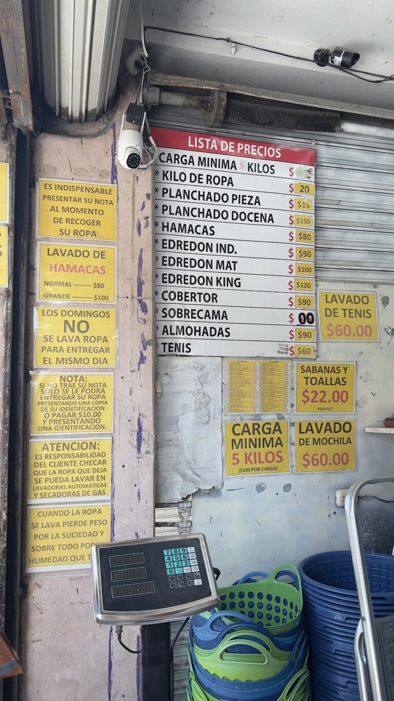 53178 lavanderia zocalo 61 768x1365