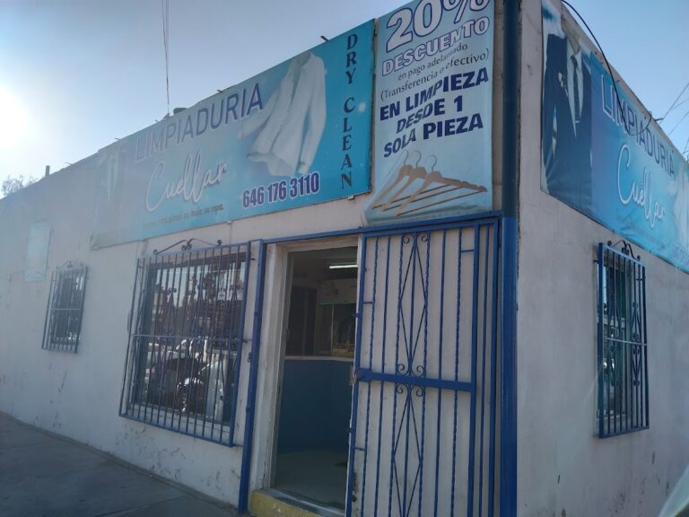 53241 limpiaduria cuellar 768x576