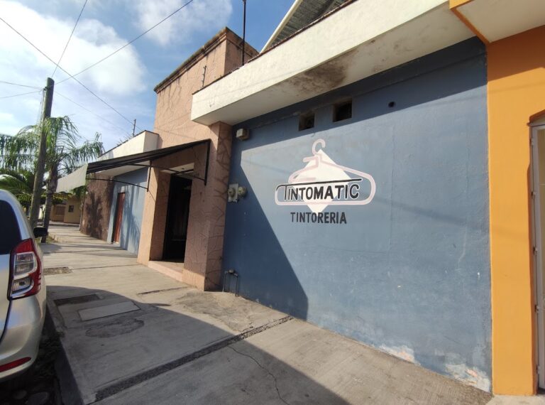 53308 tintomatic 768x570