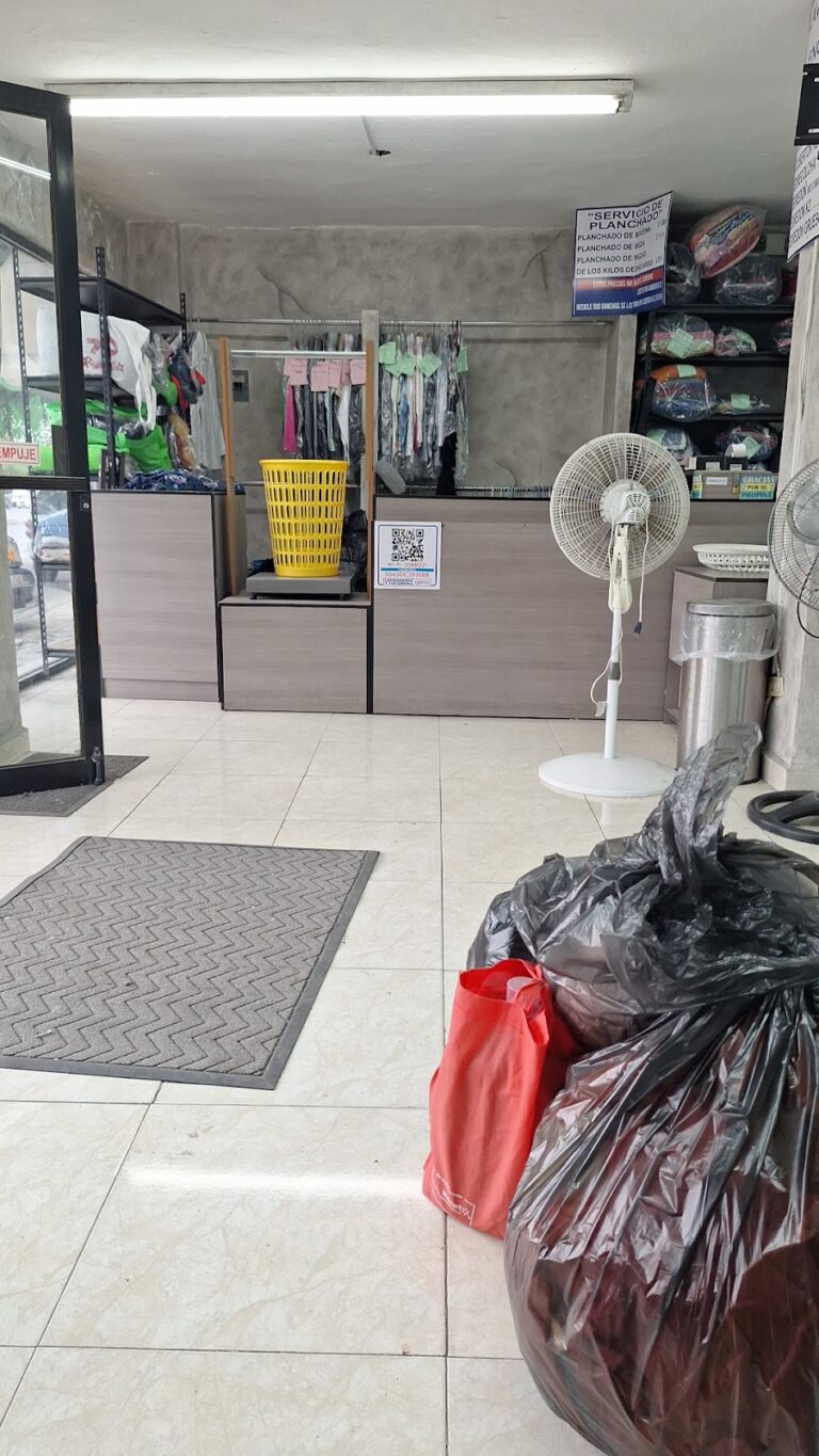 53442 lavanderia y tintoreria express 768x1365