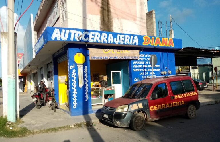 5434 cerrajeria diana 768x495