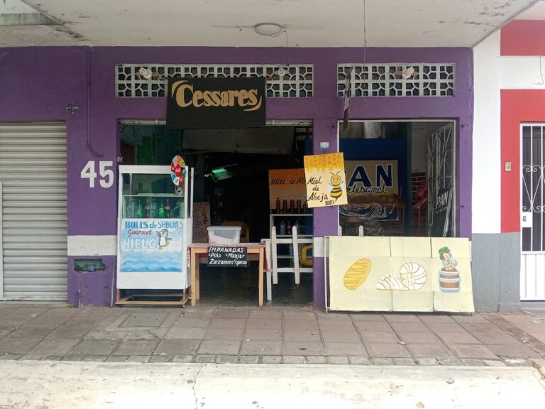 5697 cessares 768x576