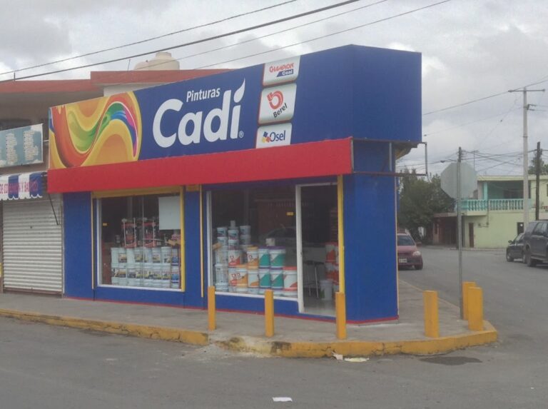 5749 pinturas cadi 768x573