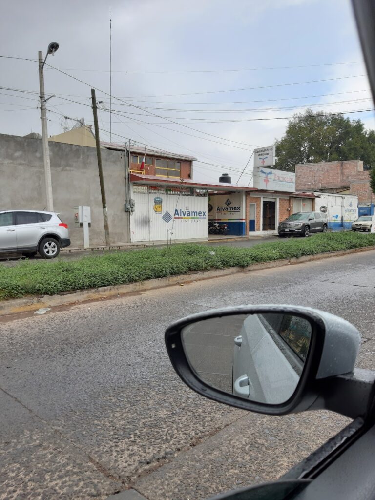 5852 pinturas leo 768x1024