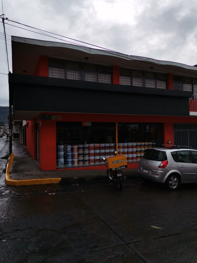 5924 pinturas casther uruapan 768x1024