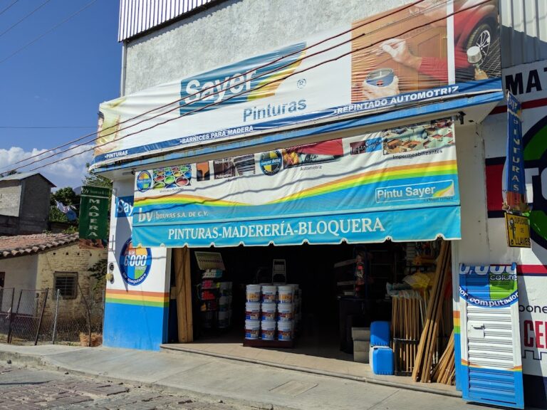 6003 tienda de pinturas sayer bruvas 768x576