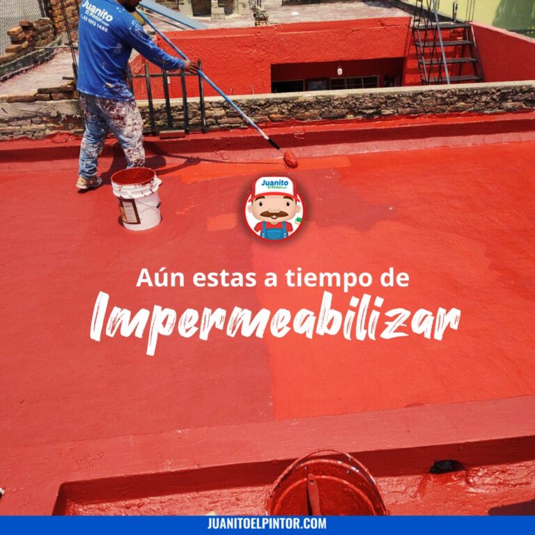 6040 juanito el pintor queretaro 768x768