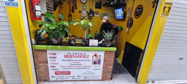 610 plomeria hernandez 768x346