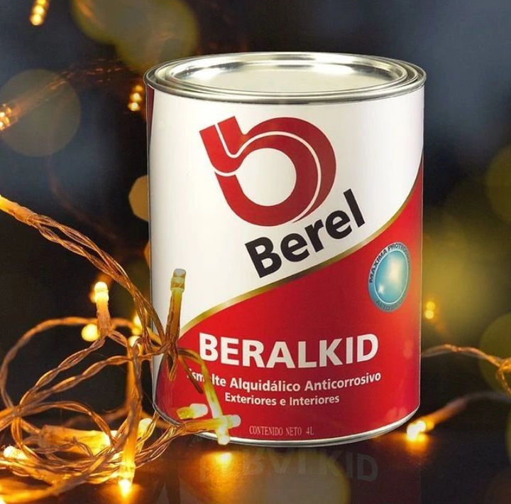 6100 la casa del pintor