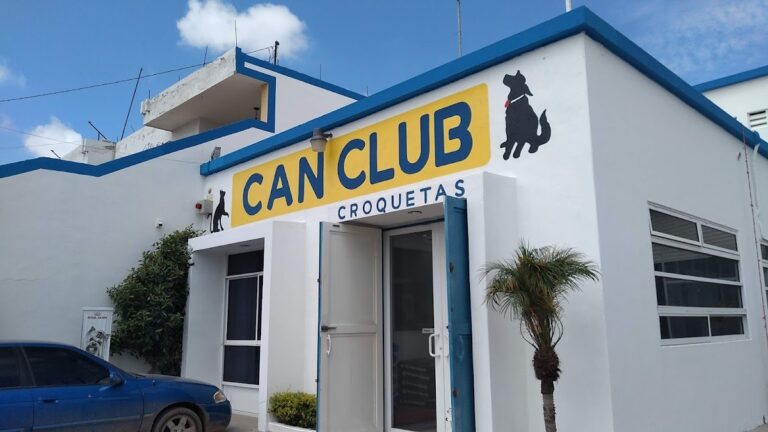 6111 pintor e impermeabilizacion y otros 768x432