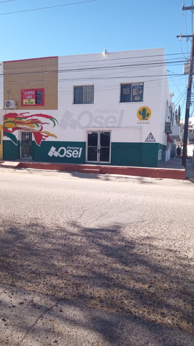 6130 pinturas osel 8211 sahuaro pinturas 768x1366