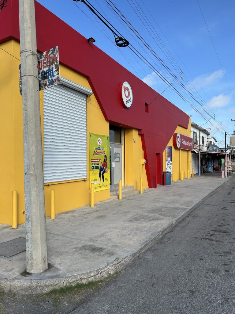 6149 pinturas berel suc. roberto guerra 768x1024