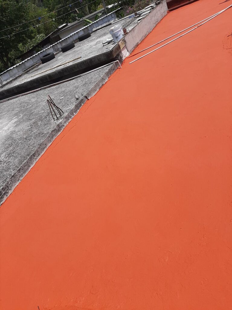 6201 pintura de casas don julio 768x1024