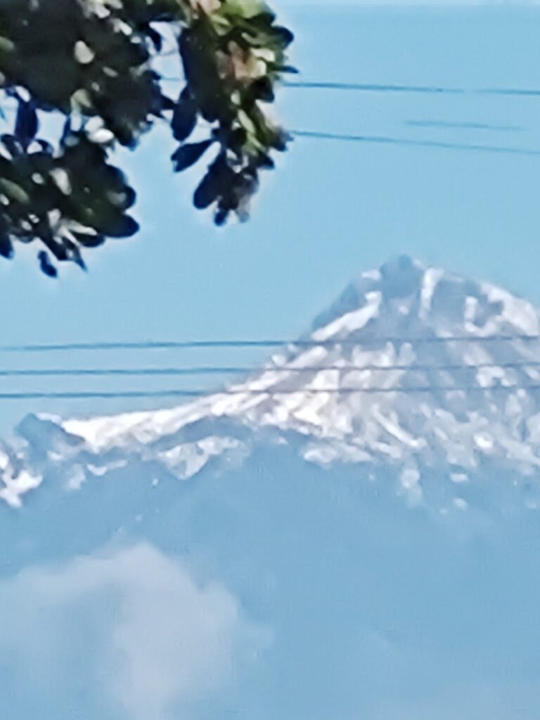 6343 miranda tire 768x1024