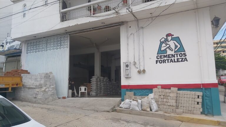 6373 multiservicios para la construccion en guerrero 768x432