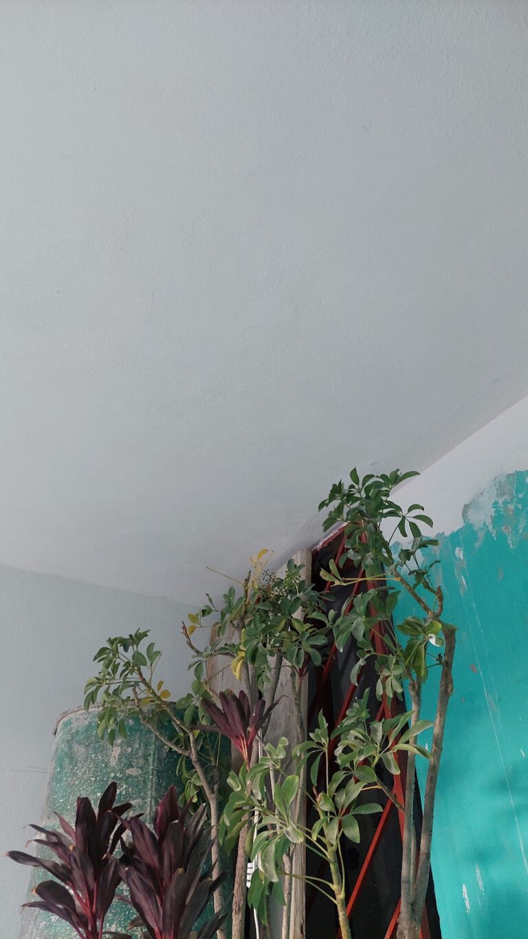 6568 remodelaciones beltran 768x1364