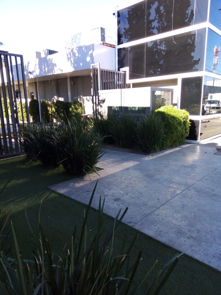 6616 collectron international 768x1024