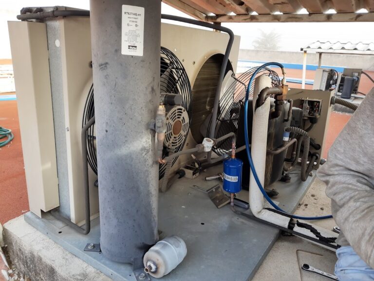 6997 servicio mulia 768x576