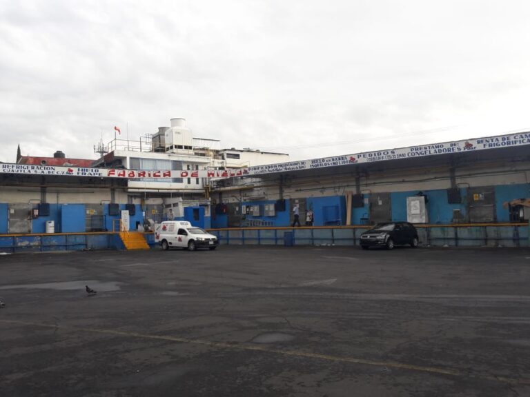 7069 refrigeracion de cuautla s a de c v 768x576