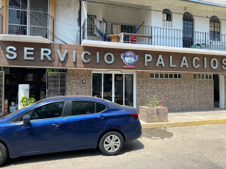 7139 servicio palacios 768x576