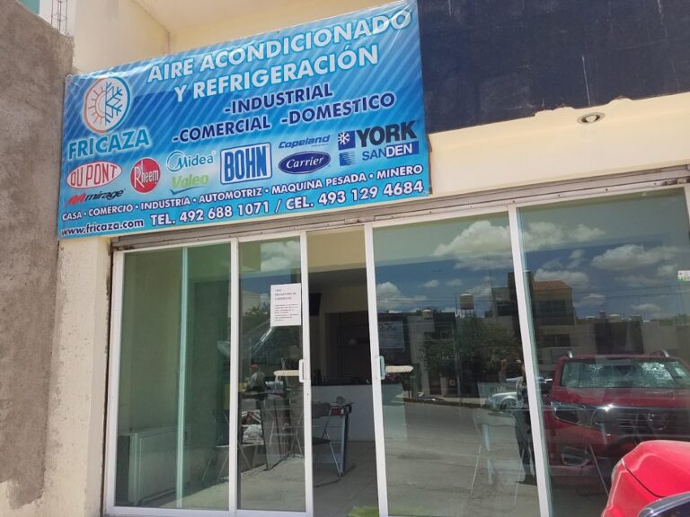 8007 fricaza 768x576