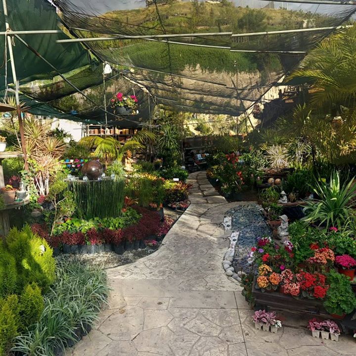 8038 centro jardinero de tijuana