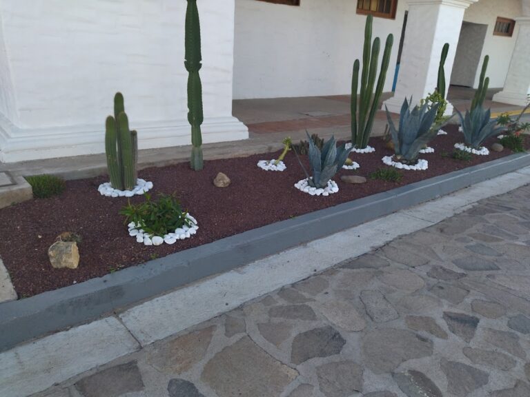 8053 jardineria diaz 768x576