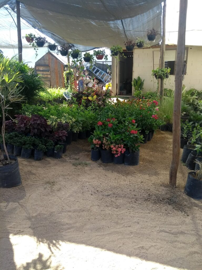 8076 quality landscapes 768x1024