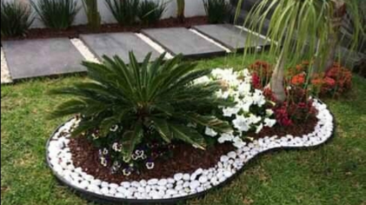 8088 eden jardineria paso limon