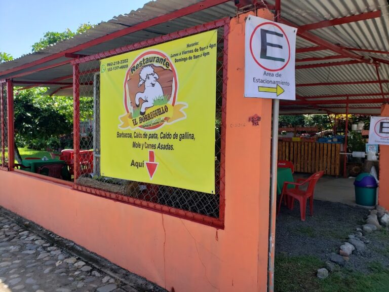 8094 vivero 8220la bendicion8221 768x576