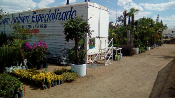 8107 centro jardinero especializado